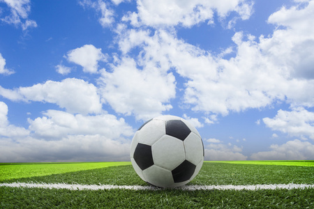 体育爱好者日常使用